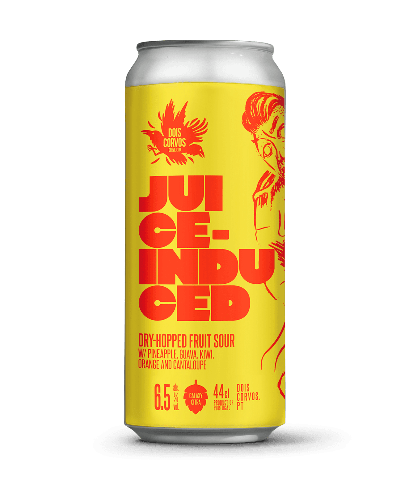 Juice Induced Fruited Sour Dois Corvos Cervejeira, Lisboa Portugal